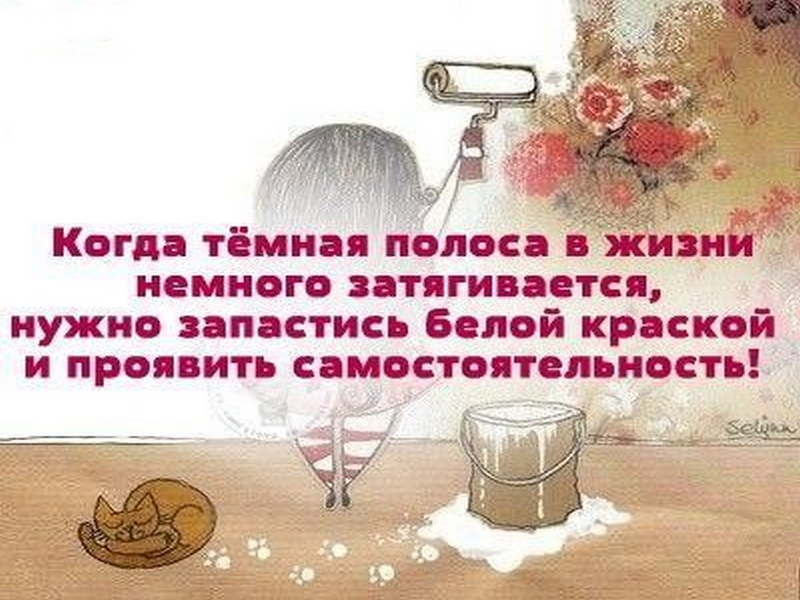 полосатая жизнь