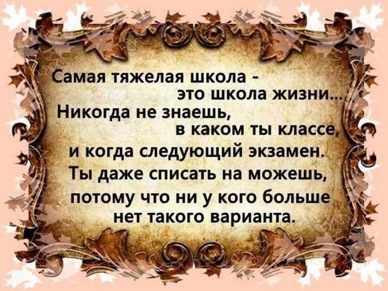 школа жизни