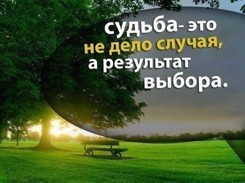 выбор