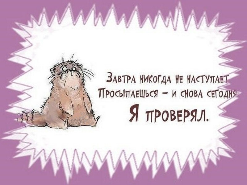 сегодня