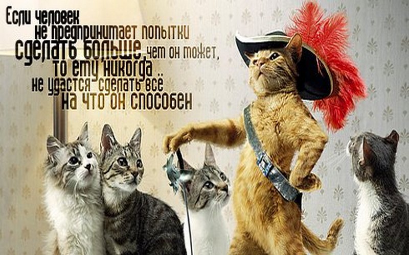 проактивность